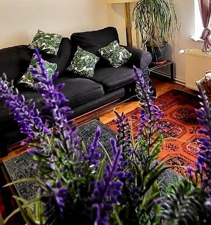 Bright Studio Close To Zaventem Airport ブリュッセル エクステリア 写真